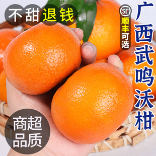 整箱一级沙糖蜜橘砂糖柑橘桔子橘子,广西武鸣沃柑10斤新鲜水果当季
